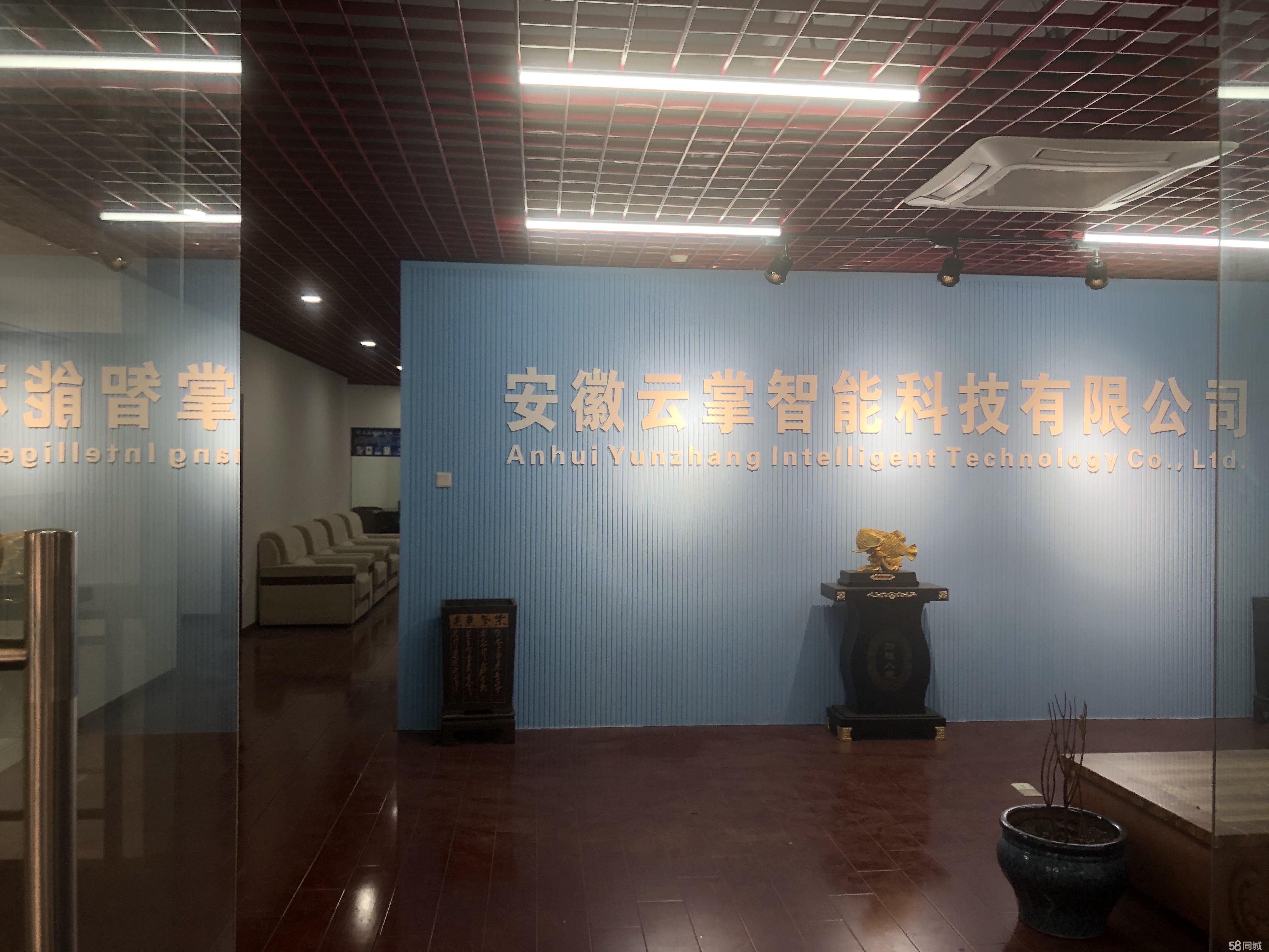 青网精装带家具