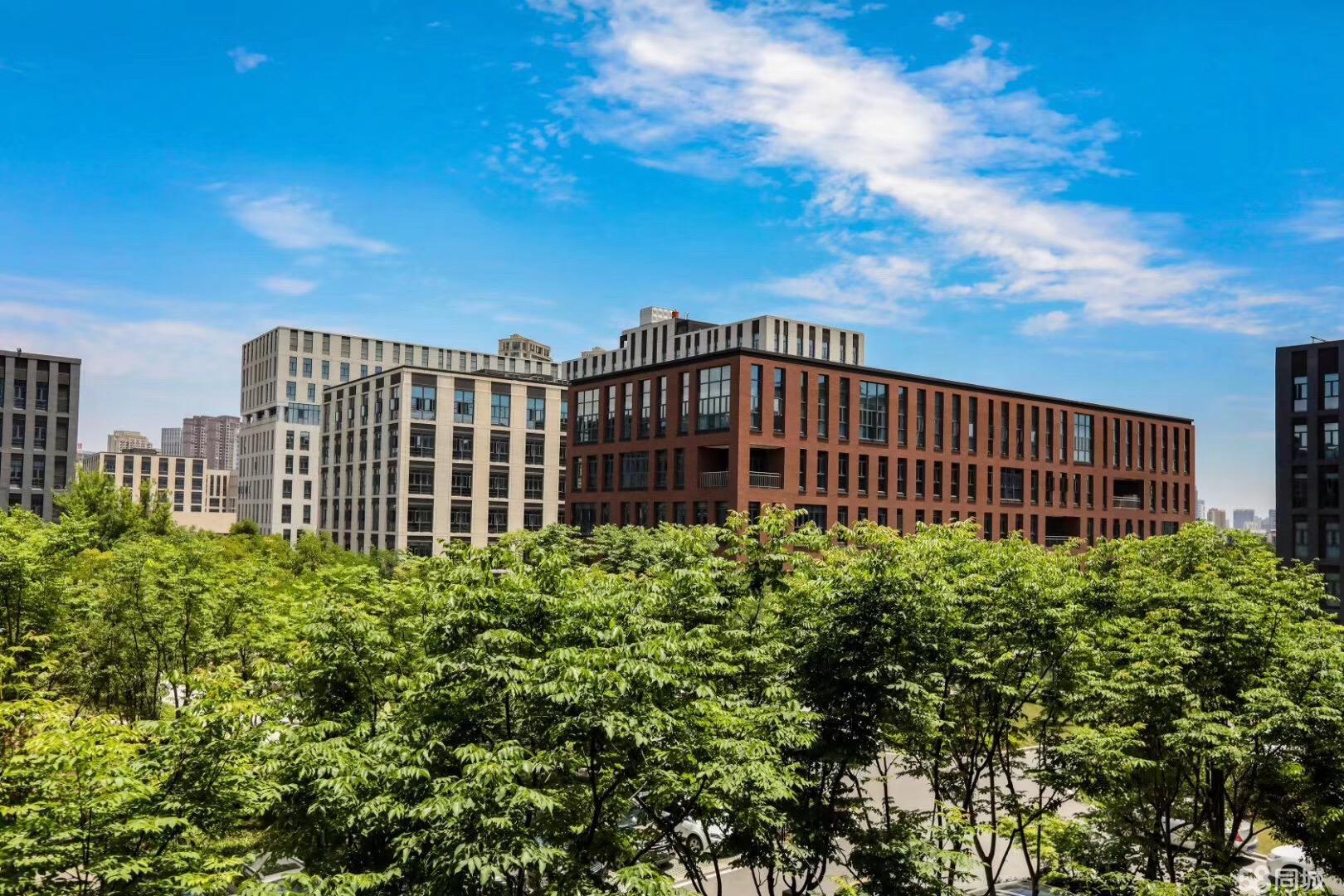 东湖创新交通便利保障商务通勤