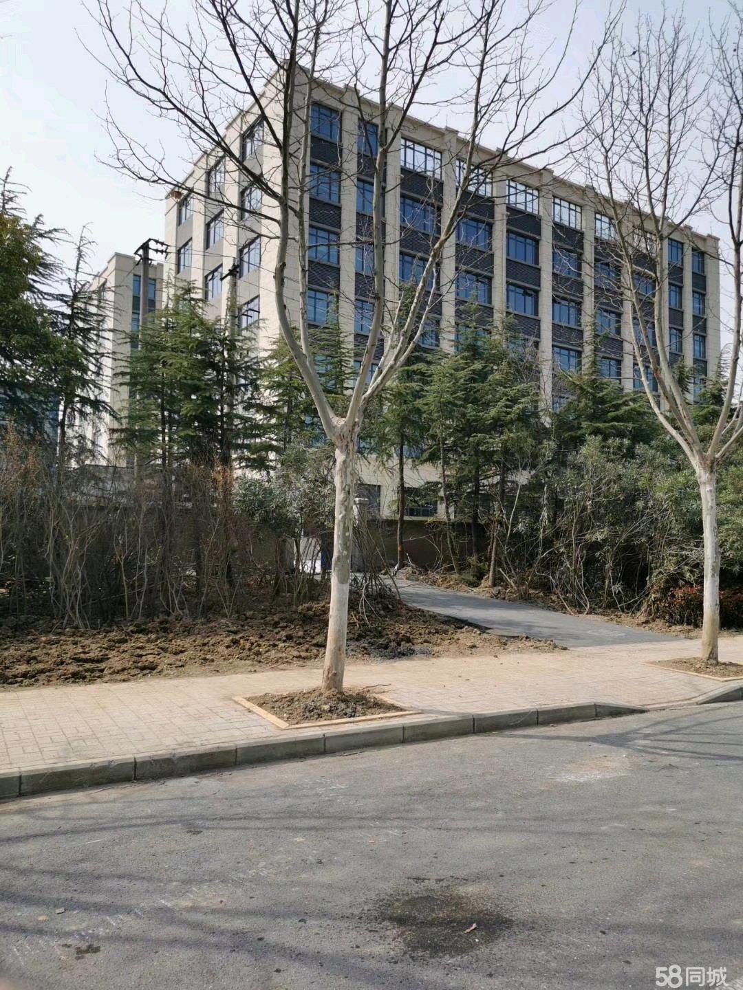 新站沿路交通便利周边配套齐全