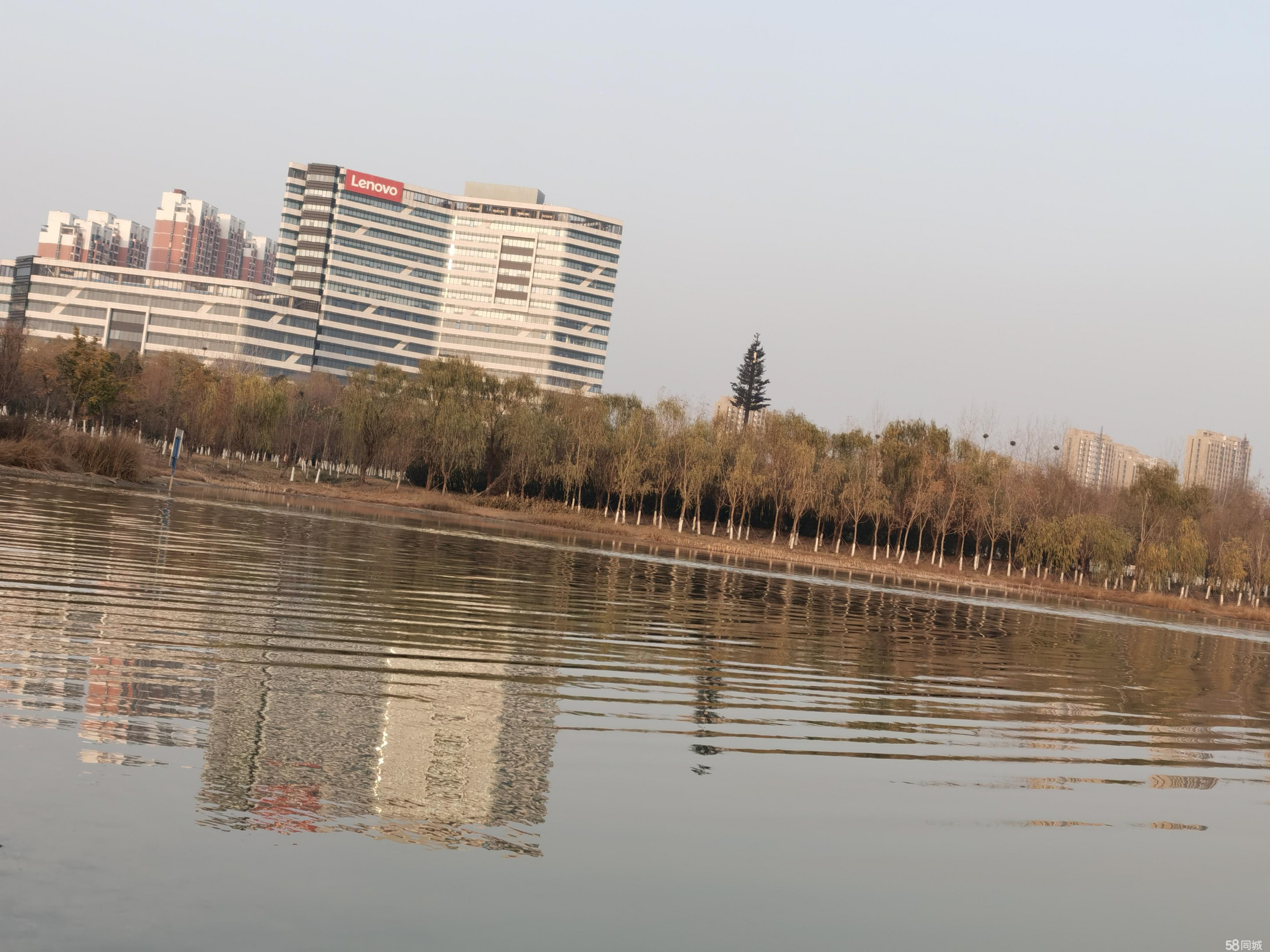 请输入图片描述200字以内