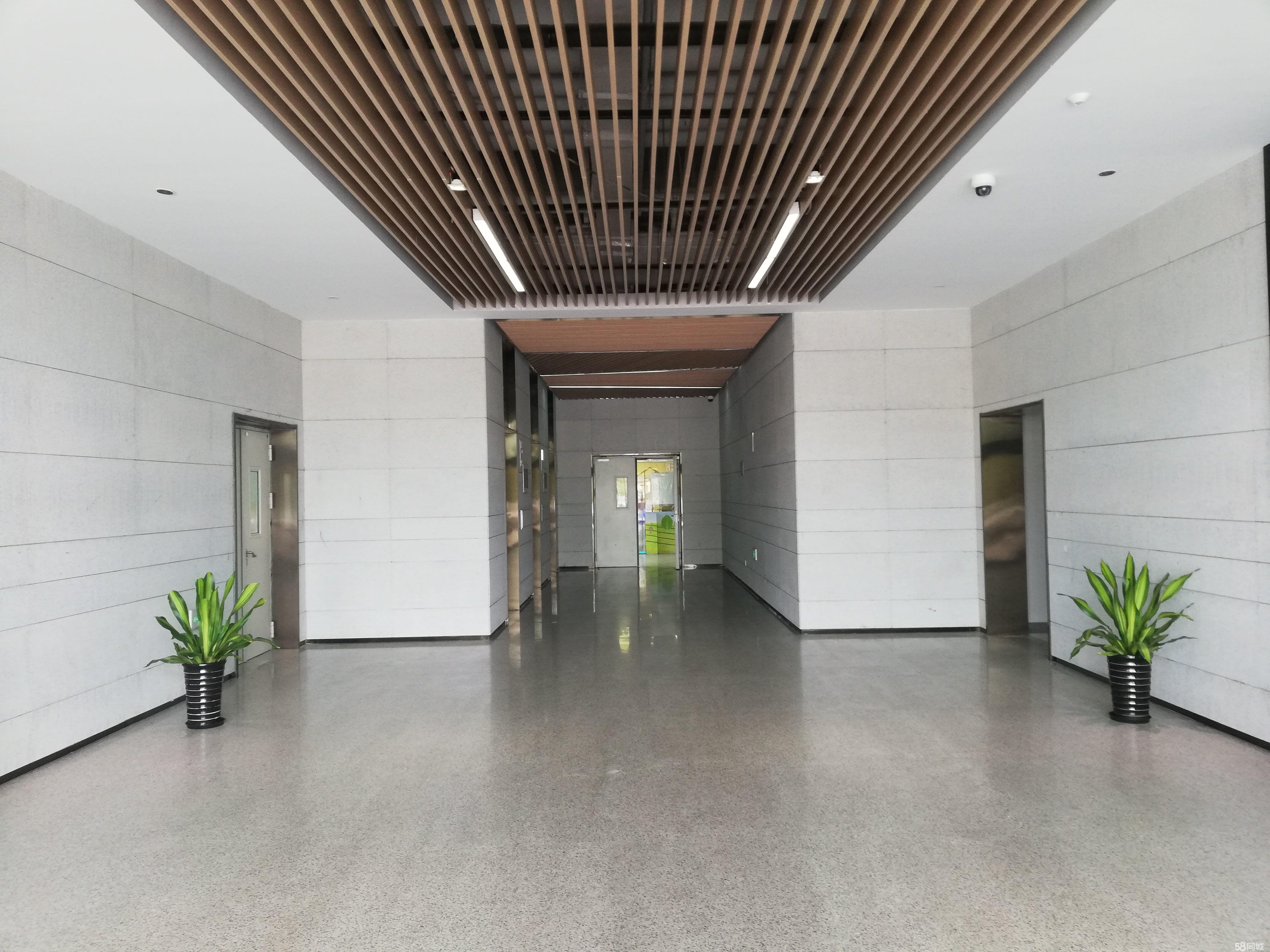 请输入图片描述200字以内