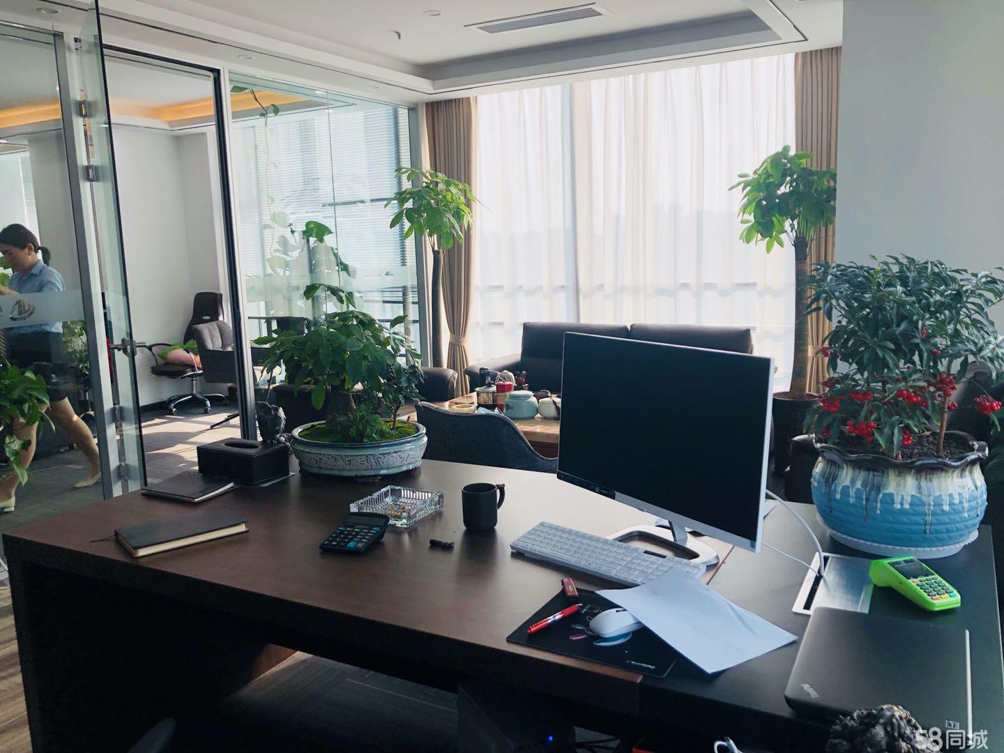 政务区精装可看天鹅湖