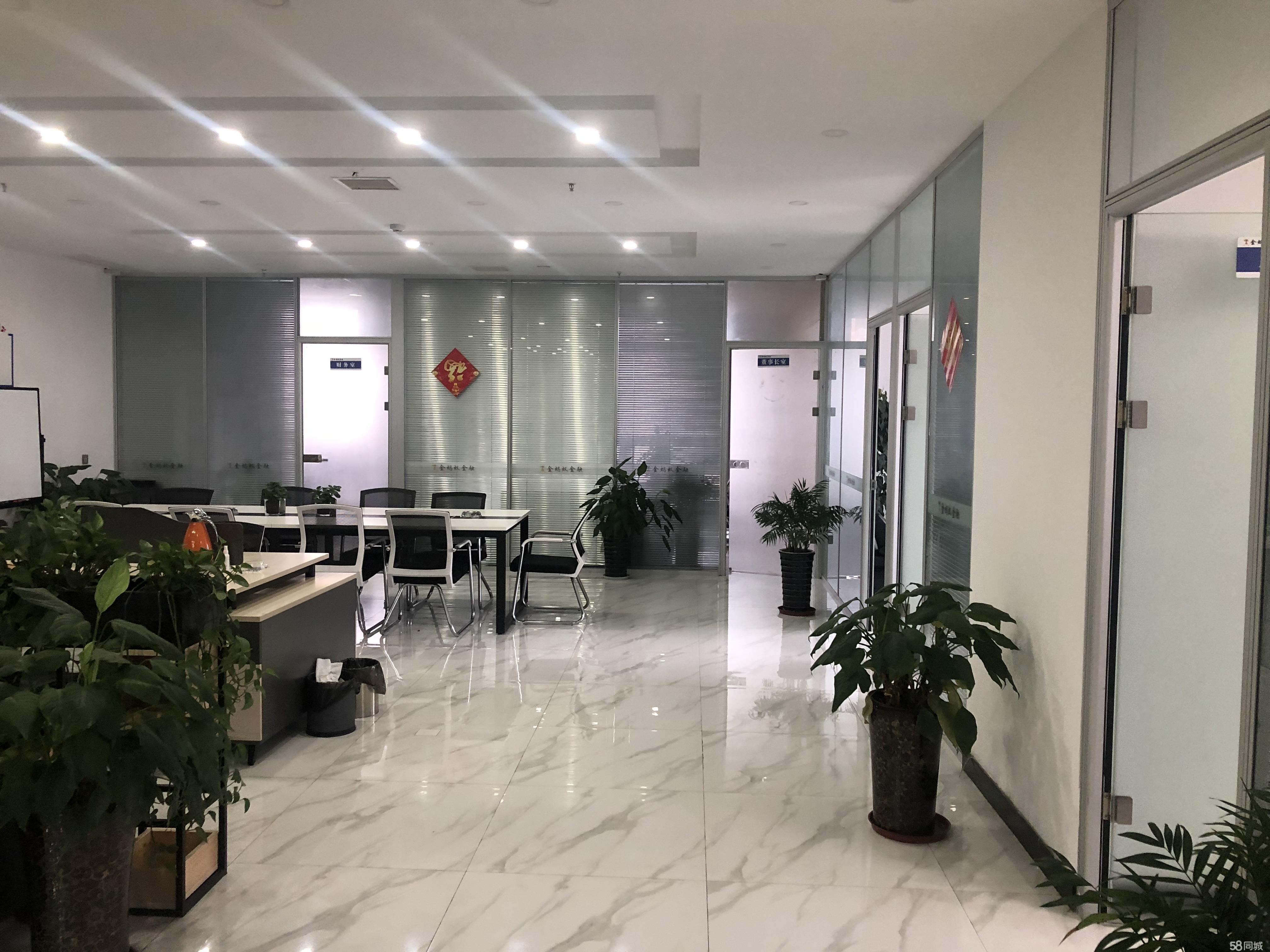 政务区精致拎包办公