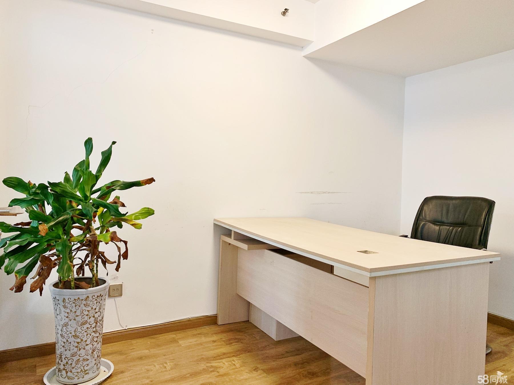 政务区复式精装带家具