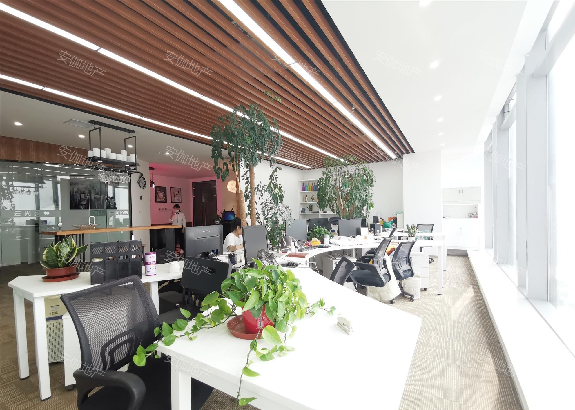 政务区精装可观湖景