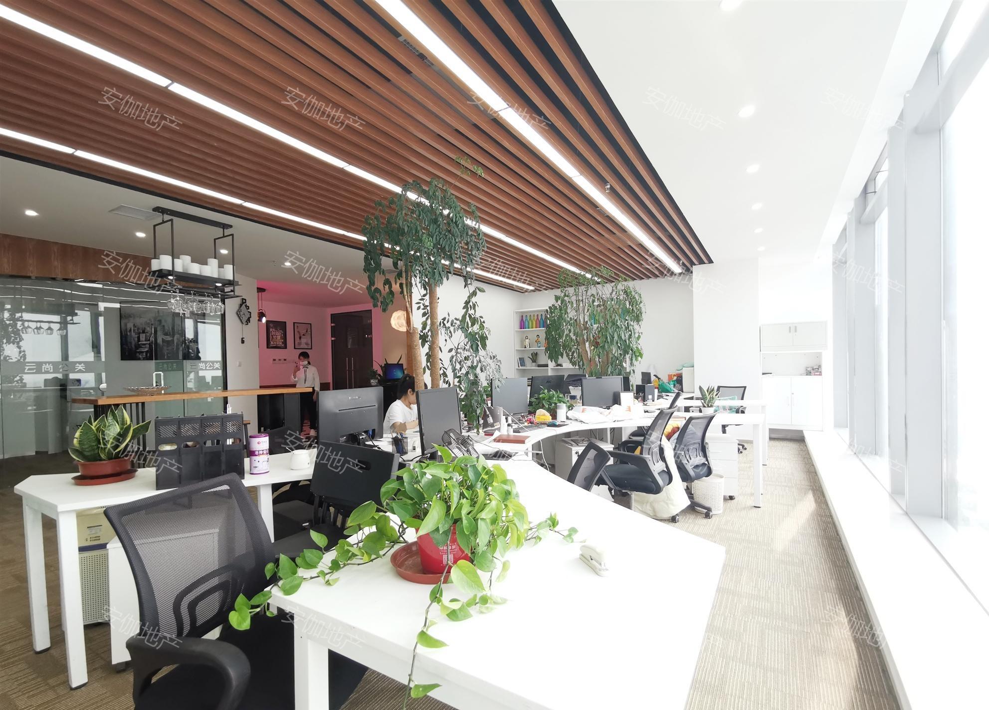 政务区精装风格时尚