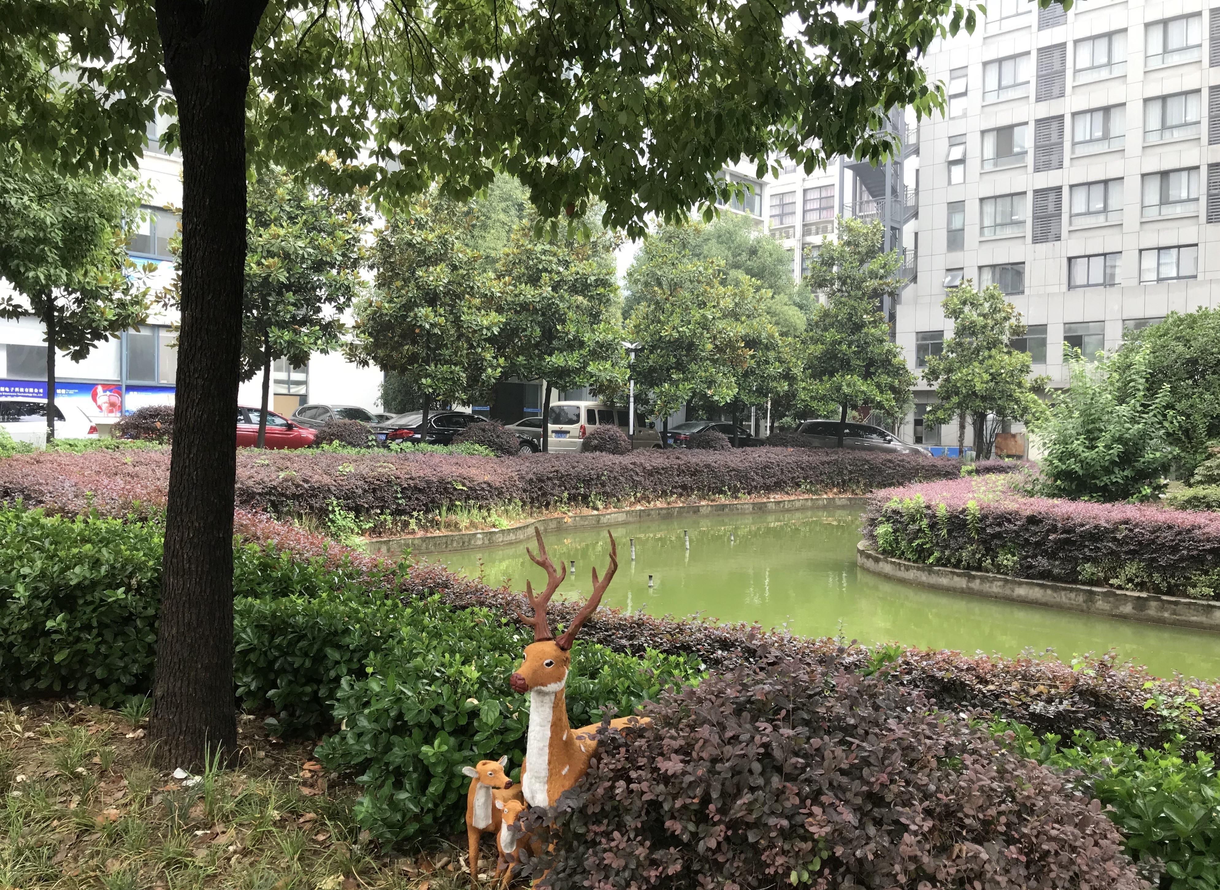 高新区中层交通便捷可观大蜀山