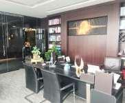 政务区精装带家具