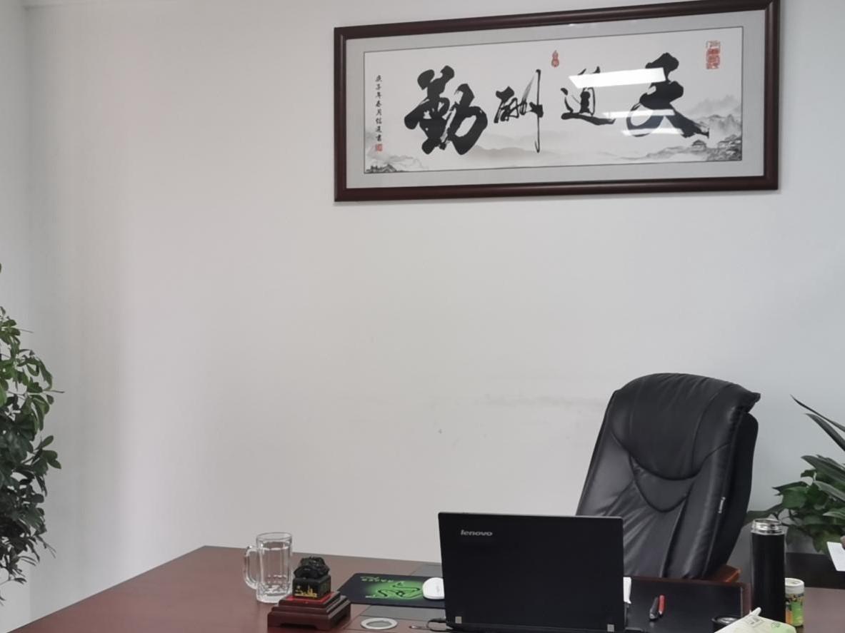 经开区精装带家具中高区视野