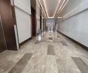 政务区高区视野天鹅湖畔