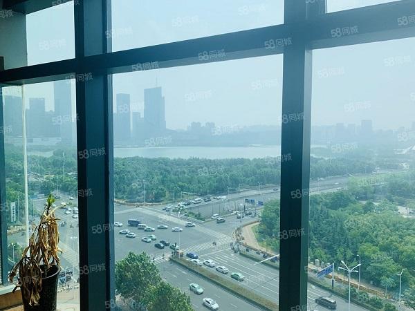 政务区豪装格局简洁