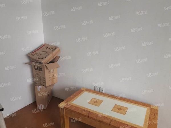 滨湖新区精装高层随时可看