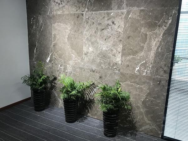 滨湖新区精装绝美巢湖景色