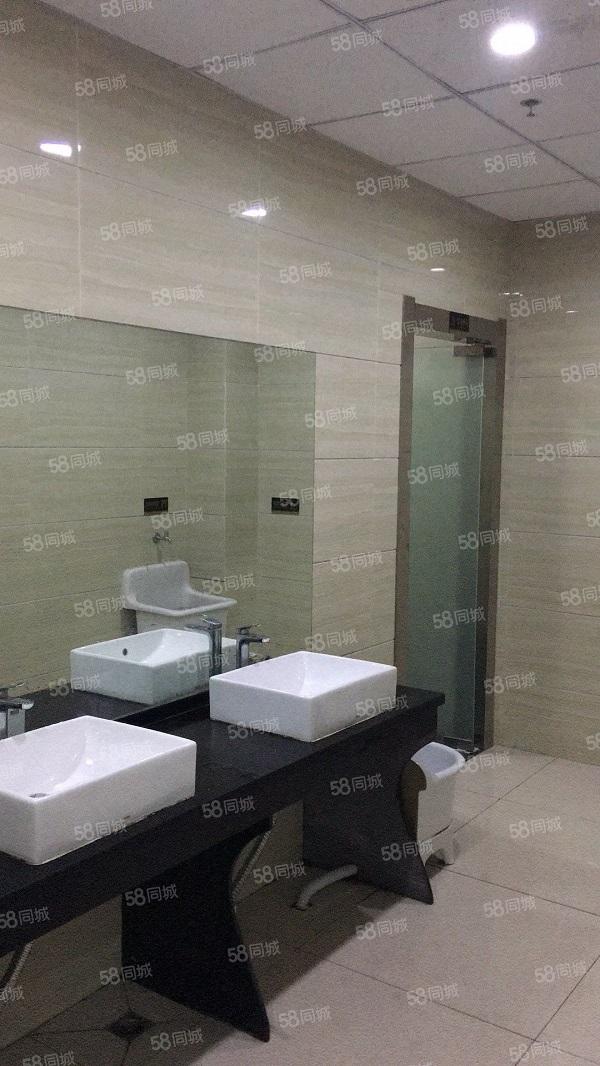 滨湖新区精装可分割价格优惠