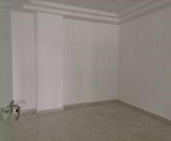 包河区精装中区白菜价